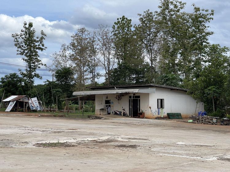 ใช่ 💖 บ้าน เมืองเลย ราคาพิเศษ! 💖 รูปที่ 4