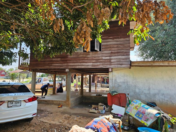 ใช่ 💖 บ้าน ภูหลวง ราคาพิเศษ! 💖 รูปที่ 4