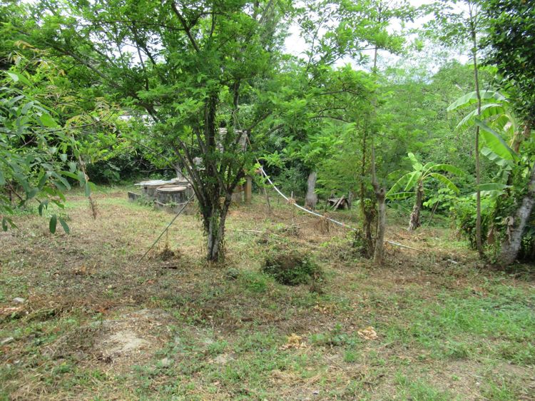 ใช่ 💖 บ้าน เกาะคา ราคาพิเศษ! 💖 รูปที่ 3