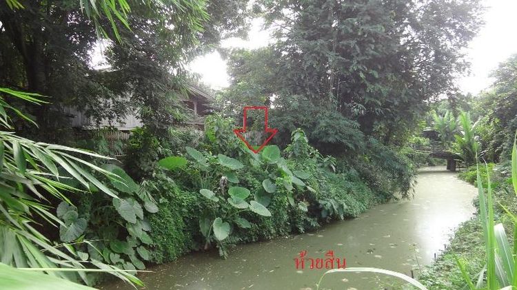 ใช่ 💖 บ้าน งาว ราคาพิเศษ! 💖 รูปที่ 3