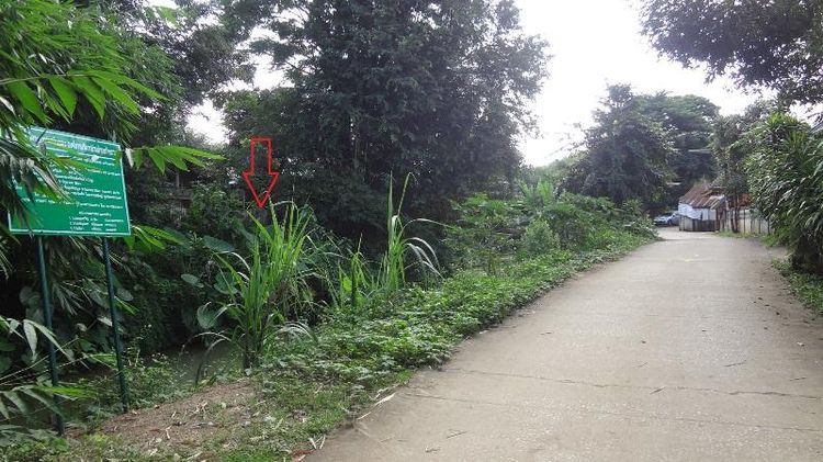 ใช่ 💖 บ้าน งาว ราคาพิเศษ! 💖 รูปที่ 2