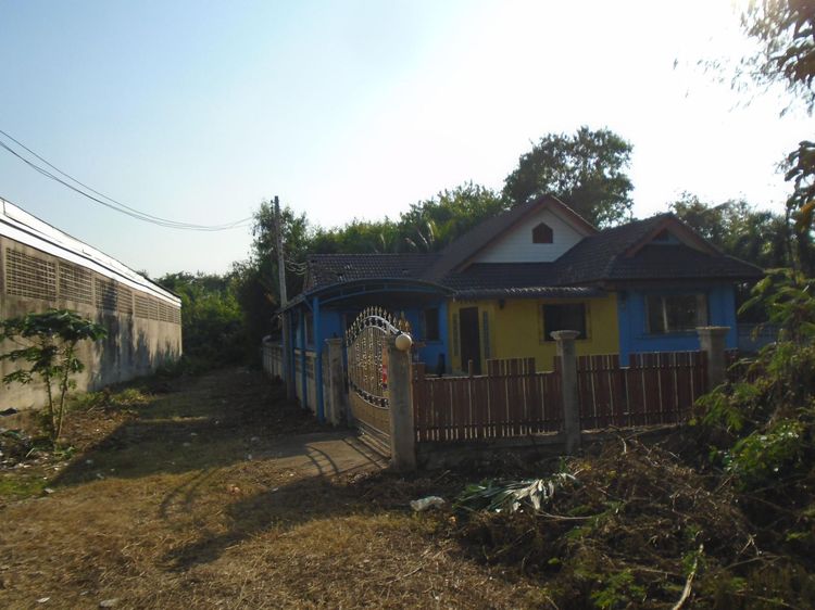 ใช่ 💖 บ้าน เมืองลำปาง ราคาพิเศษ! 💖 รูปที่ 3