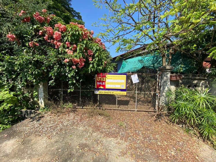 ใช่ 💖 บ้าน เมืองลำพูน ราคาพิเศษ! 💖 รูปที่ 3