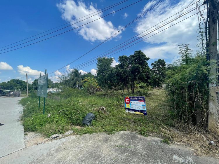 ใช่ 💖 บ้าน เมืองลำพูน ราคาพิเศษ! 💖 รูปที่ 2