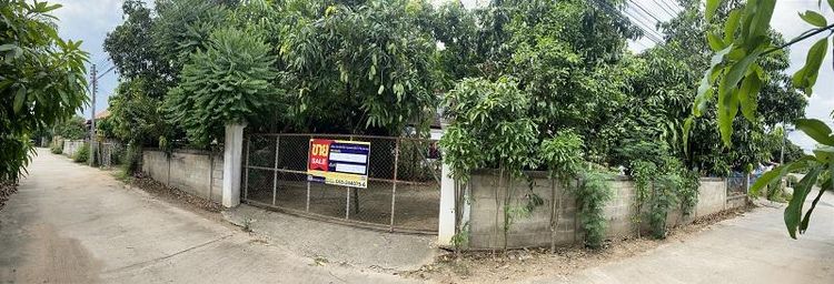 ใช่ 💖 บ้าน บ้านโฮ่ง ราคาพิเศษ! 💖 รูปที่ 2