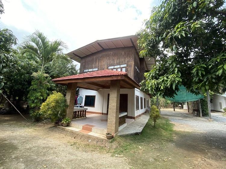 💖 บ้าน บ้านโฮ่ง ราคาพิเศษ! 💖