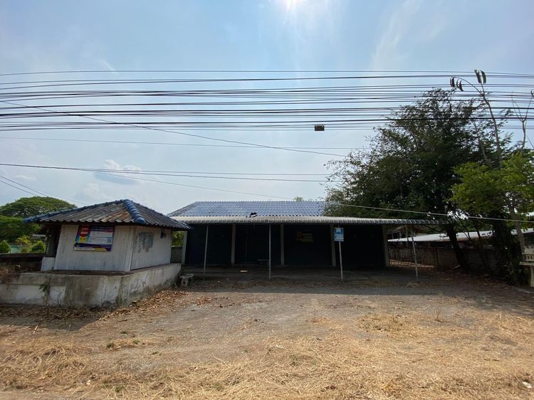 ใช่ 💖 บ้าน ป่าซาง ราคาพิเศษ! 💖