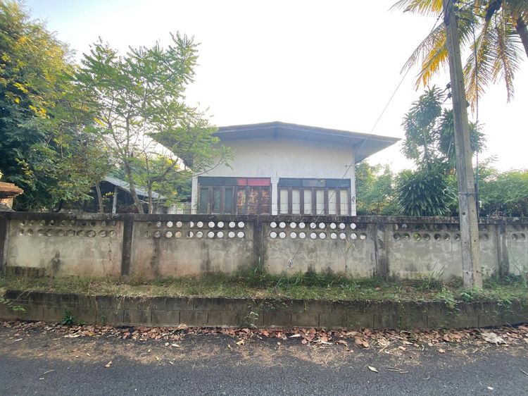 ใช่ 💖 บ้าน เมืองลำพูน ราคาพิเศษ! 💖 รูปที่ 3