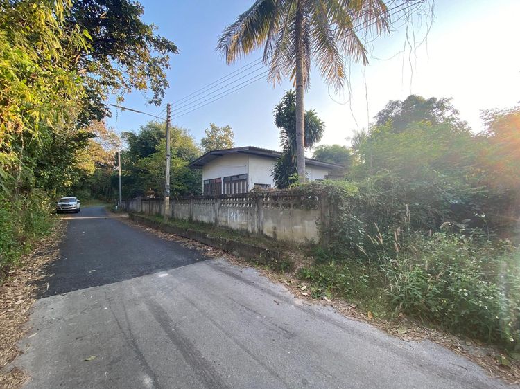 ใช่ 💖 บ้าน เมืองลำพูน ราคาพิเศษ! 💖 รูปที่ 2