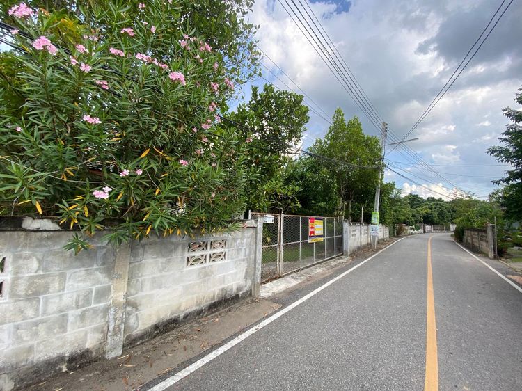 ใช่ 💖 บ้าน ป่าซาง ราคาพิเศษ! 💖 รูปที่ 2