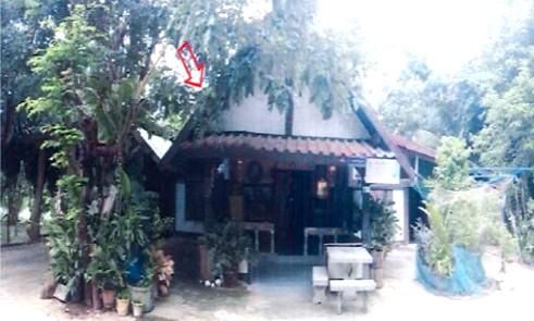 ใช่ 💖 บ้าน นิคมคำสร้อย ราคาพิเศษ! 💖 รูปที่ 2