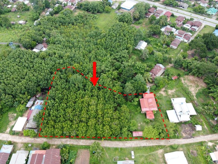 ใช่ 💖 บ้าน เมืองมุกดาหาร ราคาพิเศษ! 💖 รูปที่ 3