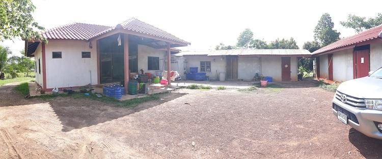 💖 บ้าน ท่าบ่อ ราคาพิเศษ! 💖