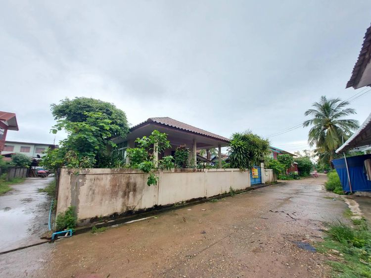 ใช่ 💖 บ้าน เมืองหนองคาย ราคาพิเศษ! 💖 รูปที่ 2