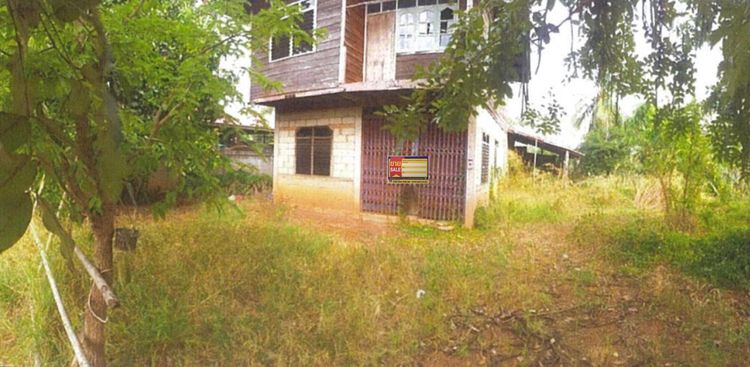 ใช่ 💖 บ้าน เฝ้าไร่ ราคาพิเศษ! 💖 รูปที่ 4