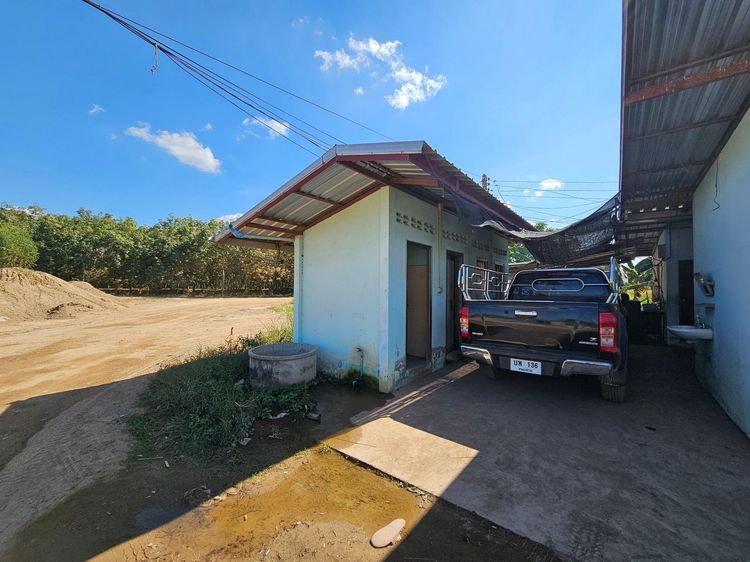 ใช่ 💖 บ้าน โพนพิสัย ราคาพิเศษ! 💖 รูปที่ 4