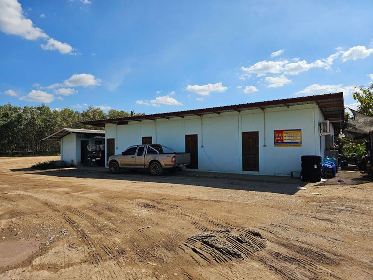 ใช่ 💖 บ้าน โพนพิสัย ราคาพิเศษ! 💖 รูปที่ 3