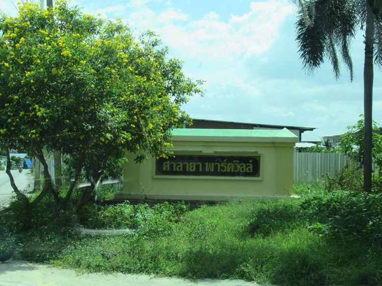 ใช่ 💖 บ้าน พุทธมณฑล ราคาพิเศษ! 💖 รูปที่ 4