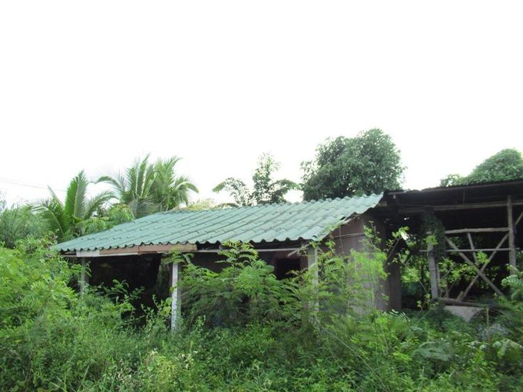 āđāļāđ ð āļāđāļēāļ āļāļģāđāļāļāđāļŠāļ āļĢāļēāļāļēāļāļīāđāļĻāļĐ! ð āļĢāļđāļāļāļĩāđ 3