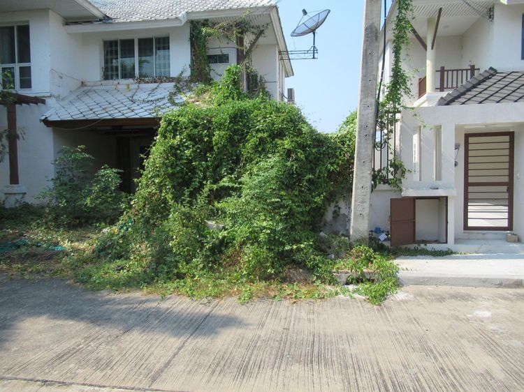 💖 บ้าน พุทธมณฑล ราคาพิเศษ! 💖 รูปที่ 2