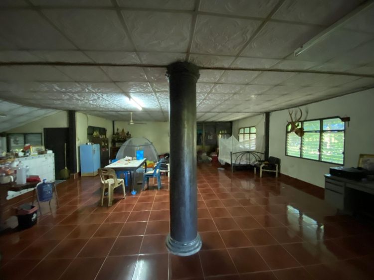 ใช่ 💖 บ้าน บ้านแพง ราคาพิเศษ! 💖 รูปที่ 4