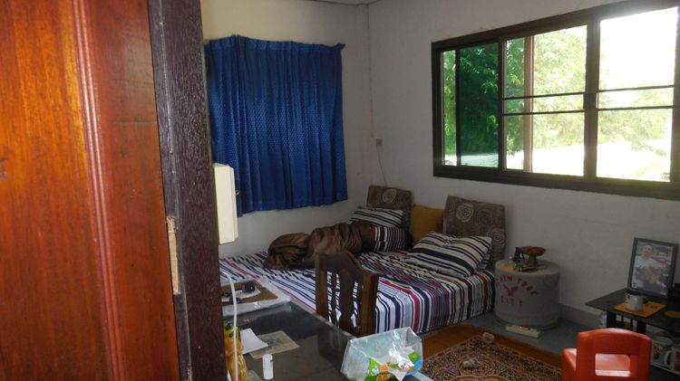 ใช่ 💖 บ้าน สีคิ้ว ราคาพิเศษ! 💖 รูปที่ 4