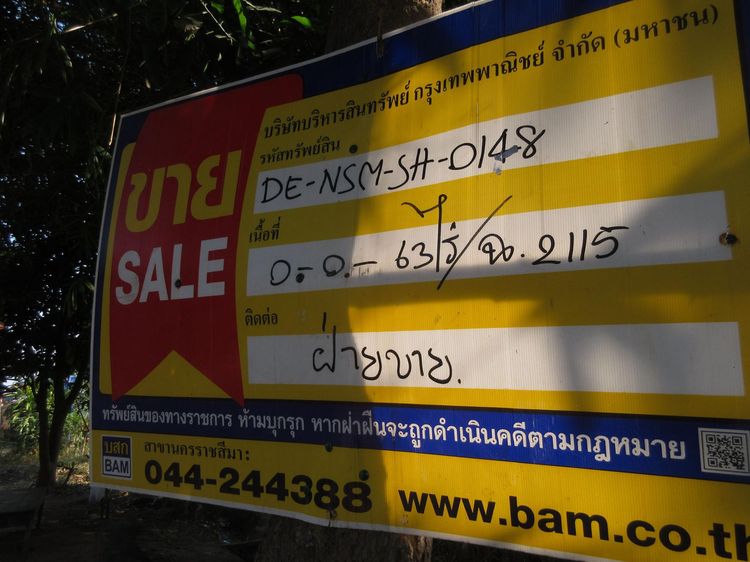 💖 บ้าน วังน้ำเขียว ราคาพิเศษ! 💖