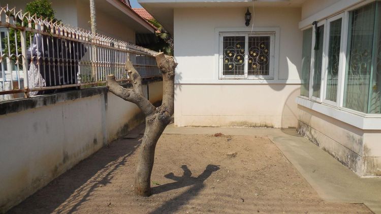 ใช่ 💖 บ้าน เมืองนครราชสีมา ราคาพิเศษ! 💖 รูปที่ 3