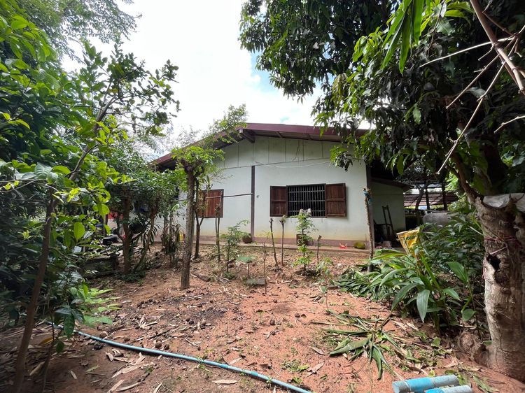 ใช่ 💖 บ้าน เสิงสาง ราคาพิเศษ! 💖 รูปที่ 4