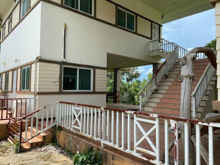 ใช่ 💖 บ้าน ปากช่อง ราคาพิเศษ! 💖 รูปที่ 4