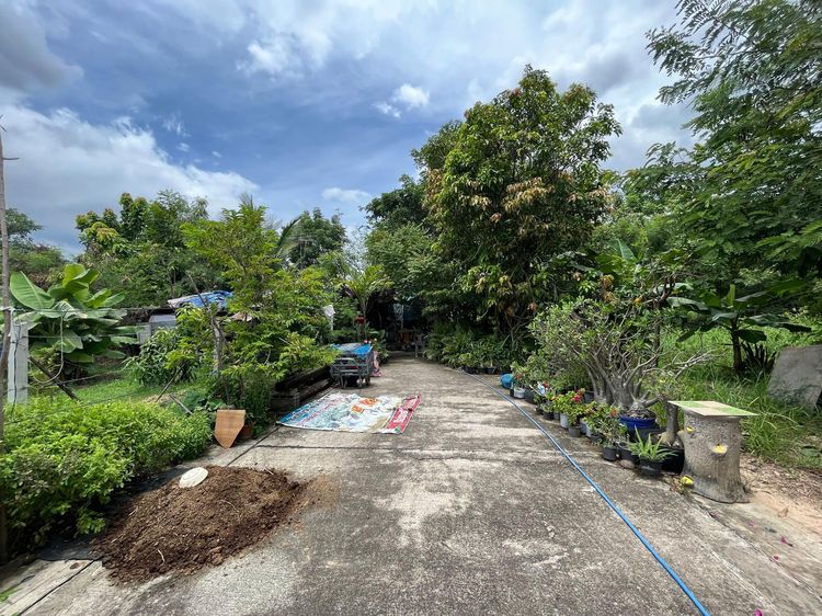 ใช่ 💖 บ้าน เมืองนครราชสีมา ราคาพิเศษ! 💖 รูปที่ 4