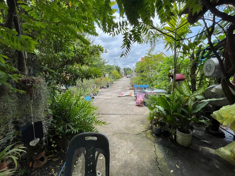 ใช่ 💖 บ้าน เมืองนครราชสีมา ราคาพิเศษ! 💖 รูปที่ 3