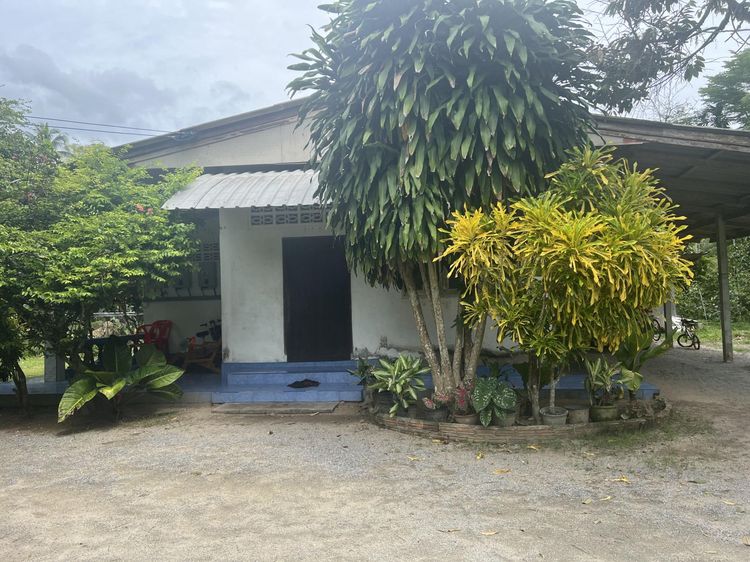 ใช่ 💖 บ้าน ท่าศาลา ราคาพิเศษ! 💖 รูปที่ 2