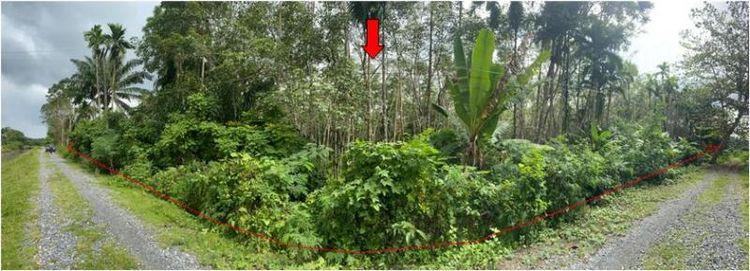 ใช่ 💖 บ้าน ชะอวด ราคาพิเศษ! 💖 รูปที่ 4