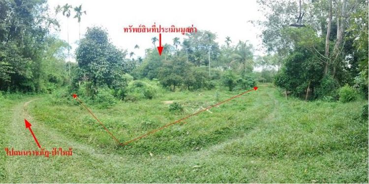 ใช่ 💖 บ้าน เมืองนครศรีธรรมราช ราคาพิเศษ! 💖 รูปที่ 2