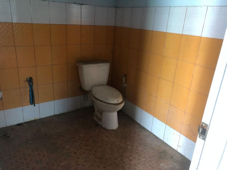 ใช่ 💖 บ้าน ท่าตะโก ราคาพิเศษ! 💖 รูปที่ 3