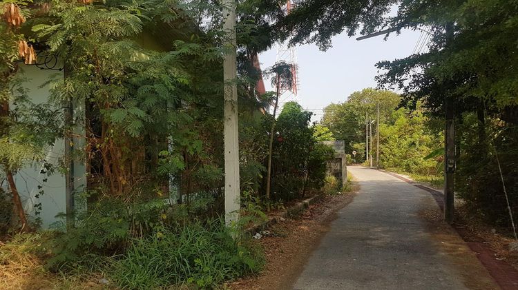 ใช่ 💖 บ้าน วิเชียรบุรี ราคาพิเศษ! 💖 รูปที่ 4