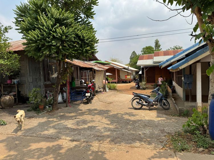 ใช่ 💖 บ้าน บึงสามพัน ราคาพิเศษ! 💖 รูปที่ 2