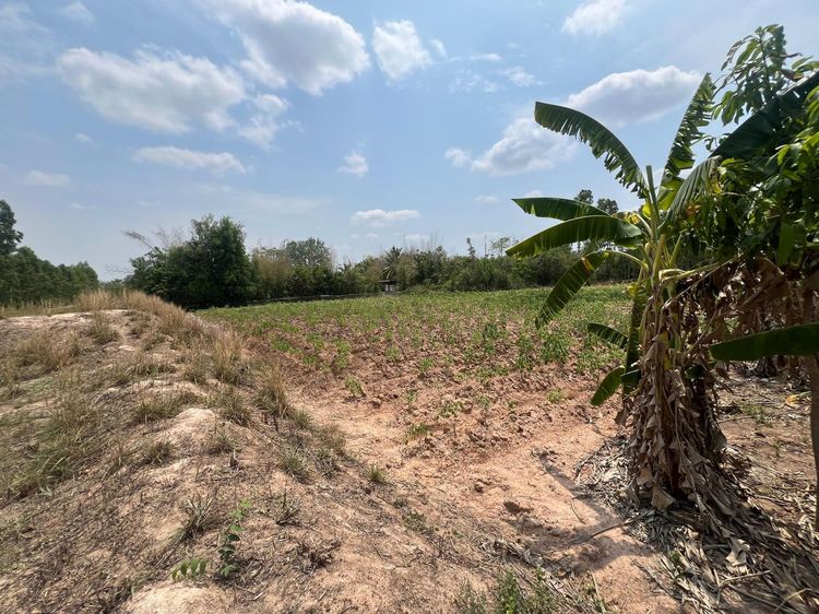 ใช่ 💖 บ้าน กบินทร์บุรี ราคาพิเศษ! 💖 รูปที่ 2