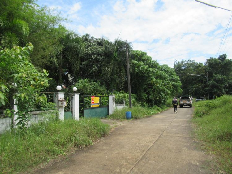 ใช่ 💖 บ้าน เมืองภูเก็ต ราคาพิเศษ! 💖 รูปที่ 2