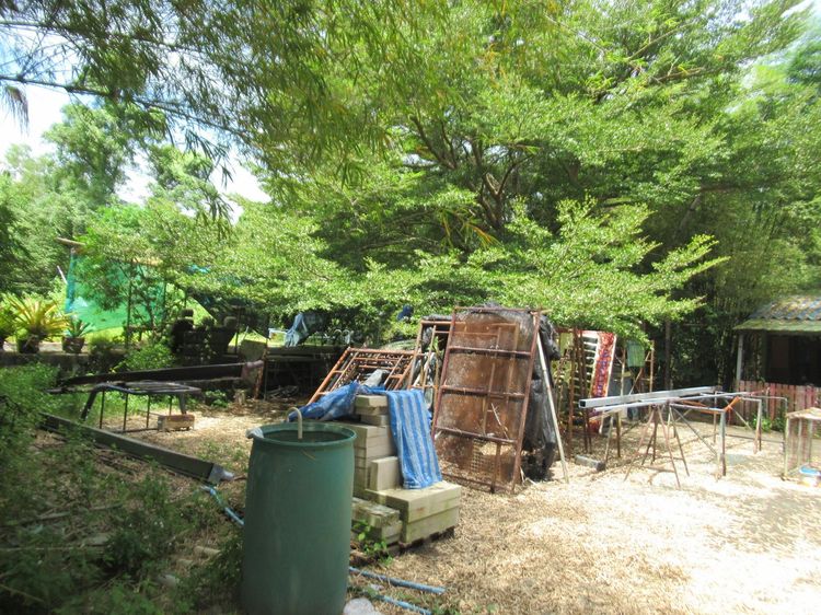 ใช่ 💖 บ้าน เมืองภูเก็ต ราคาพิเศษ! 💖 รูปที่ 4