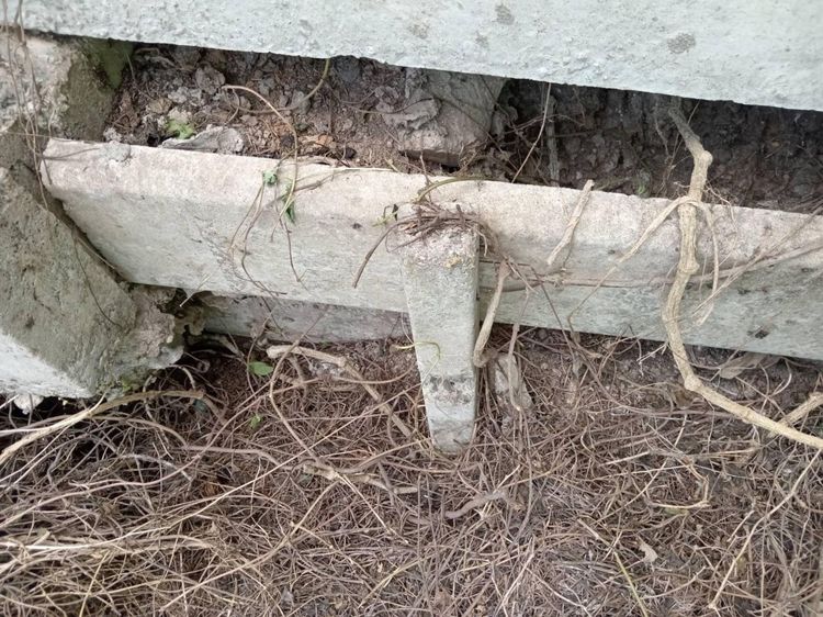 ใช่ 💖 บ้าน คลองหลวง ราคาพิเศษ! 💖 รูปที่ 3