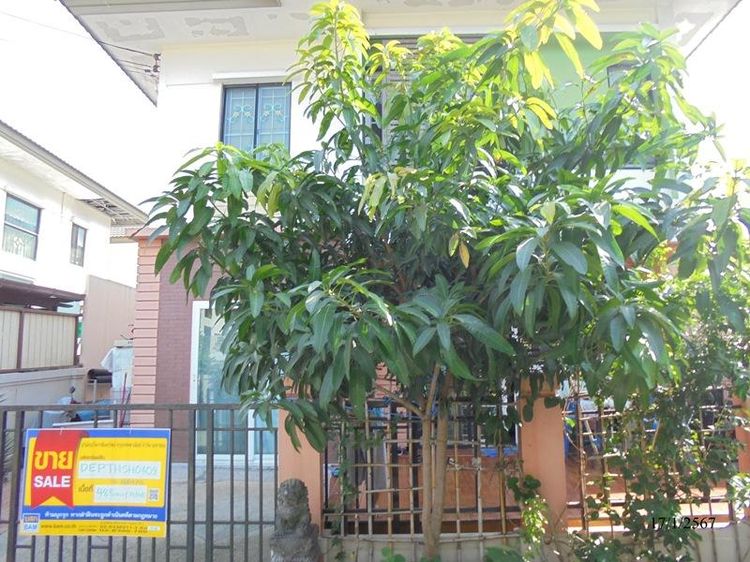 💖 บ้าน ลำลูกกา ราคาพิเศษ! 💖