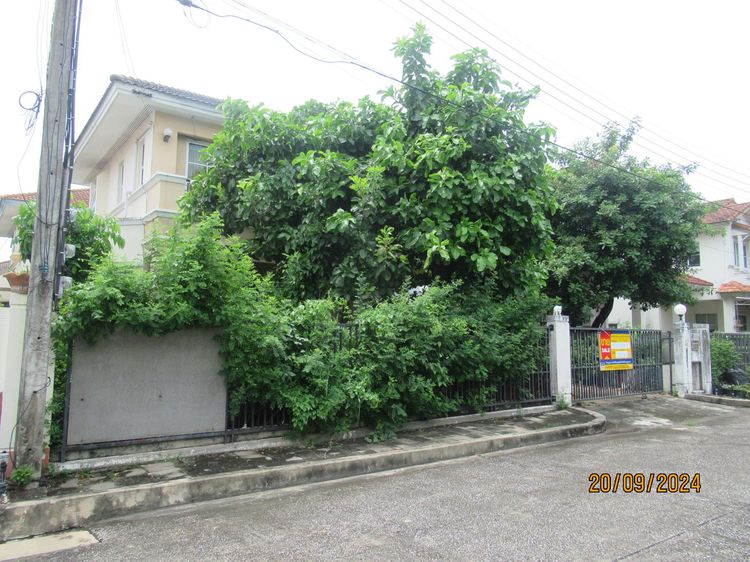 ใช่ 💖 บ้าน ธัญบุรี ราคาพิเศษ! 💖 รูปที่ 3