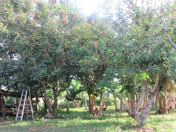 💖 บ้าน ตะโหมด ราคาพิเศษ! 💖