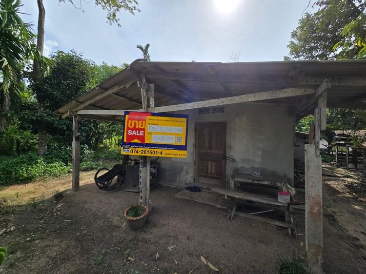 ใช่ 💖 บ้าน เมืองพัทลุง ราคาพิเศษ! 💖 รูปที่ 2