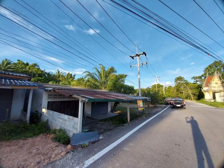 ใช่ 💖 บ้าน ป่าบอน ราคาพิเศษ! 💖 รูปที่ 2