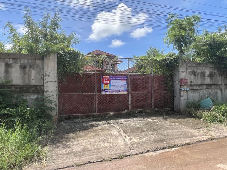 ใช่ 💖 บ้าน เมืองพะเยา ราคาพิเศษ! 💖 รูปที่ 2