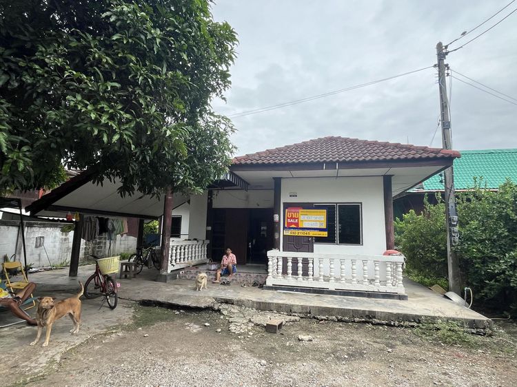 💖 บ้าน บางแพ ราคาพิเศษ! 💖