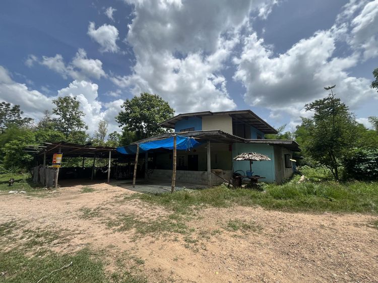 ใช่ 💖 บ้าน ปากท่อ ราคาพิเศษ! 💖 รูปที่ 2